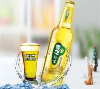 什么是雪花純生啤酒？